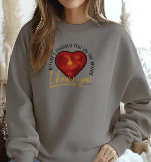 sweatshirts and hoodies