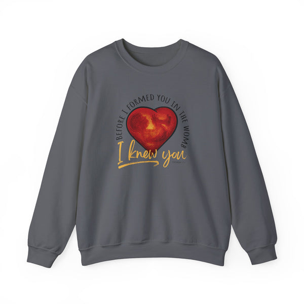Before You Were Formed In The Womb I Knew You Sweatshirt