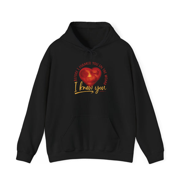 Before You Were Formed In The Womb I Knew You Hooded Sweatshirt