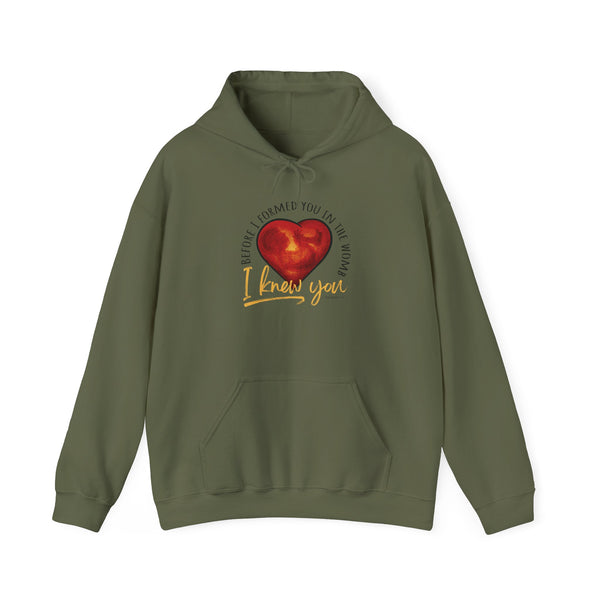 Before You Were Formed In The Womb I Knew You Hooded Sweatshirt