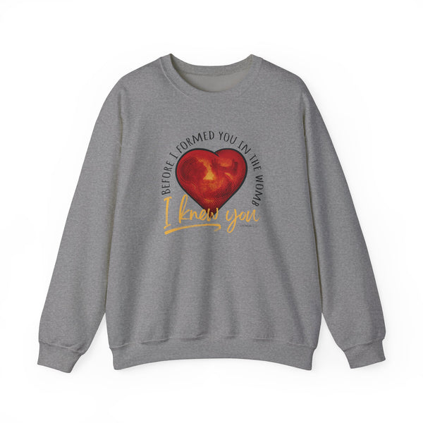 Before You Were Formed In The Womb I Knew You Sweatshirt