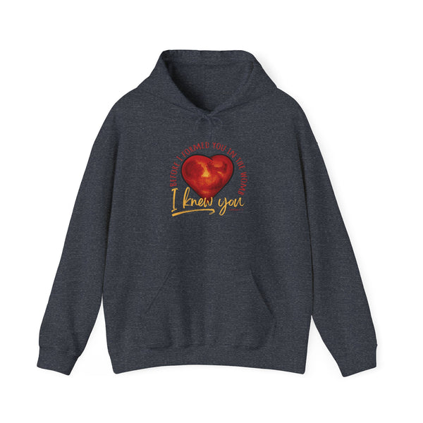 Before You Were Formed In The Womb I Knew You Hooded Sweatshirt