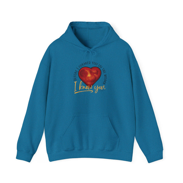 Before You Were Formed In The Womb I Knew You Hooded Sweatshirt
