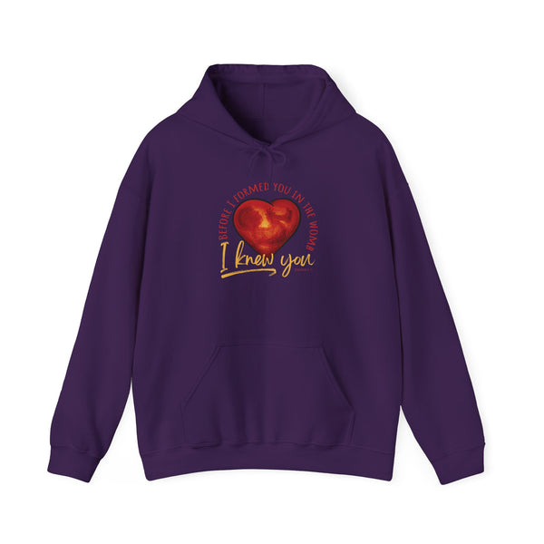 Before You Were Formed In The Womb I Knew You Hooded Sweatshirt