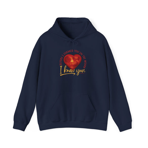 Before You Were Formed In The Womb I Knew You Hooded Sweatshirt