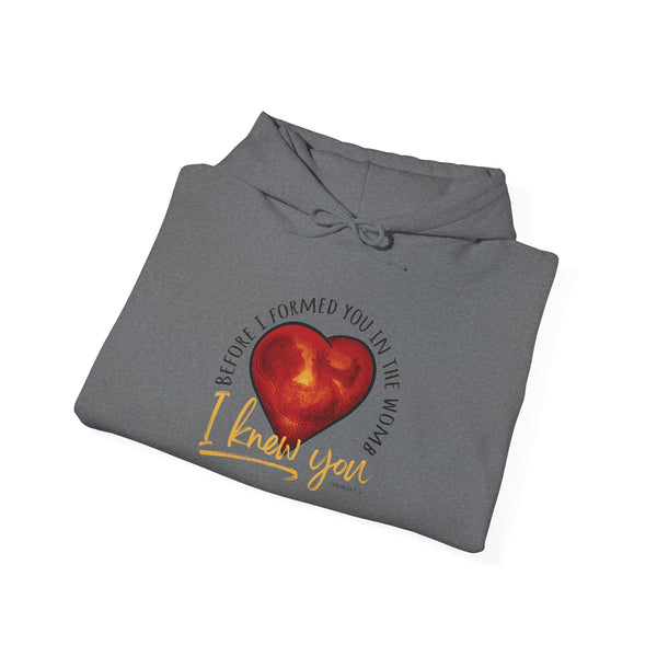 Before You Were Formed In The Womb I Knew You Hooded Sweatshirt