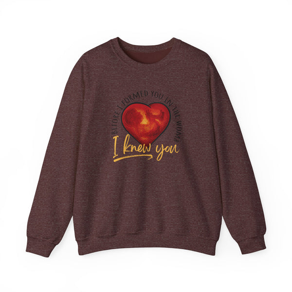 Before You Were Formed In The Womb I Knew You Sweatshirt