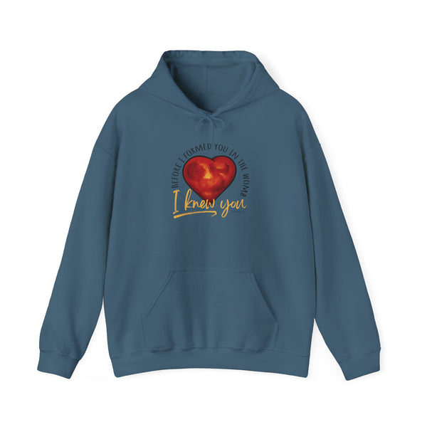 Before You Were Formed In The Womb I Knew You Hooded Sweatshirt