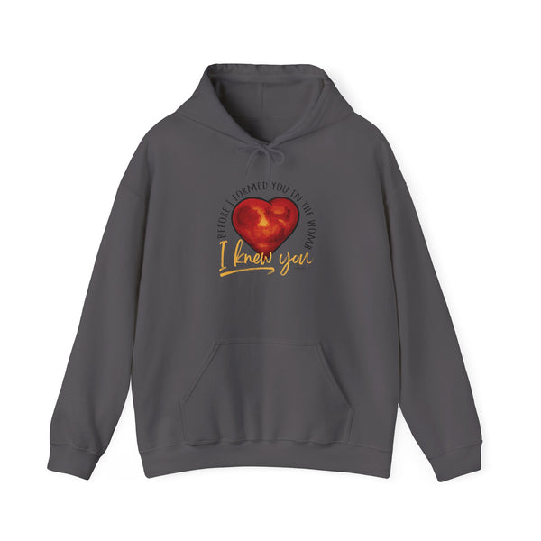Before You Were Formed In The Womb I Knew You Hooded Sweatshirt