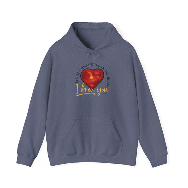 Before You Were Formed In The Womb I Knew You Hooded Sweatshirt
