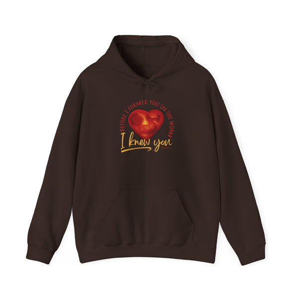 Before You Were Formed In The Womb I Knew You Hooded Sweatshirt